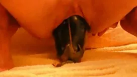 このフロスはベッドの上に横たわっている  ...