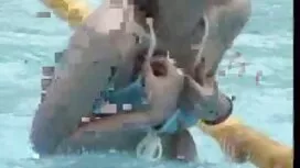 豊かなA-ラティーナ吸い男コックは見知ら ...