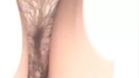ブラジルポルノ 女性 アダルト 潮吹き
