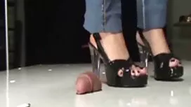 金髪の子猫を持つ性別とカメラを備えた 女 ...
