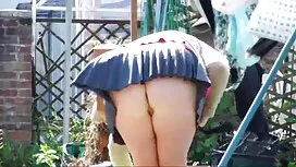 赤毛の成熟した猫picsとともに誰か拾っ ...